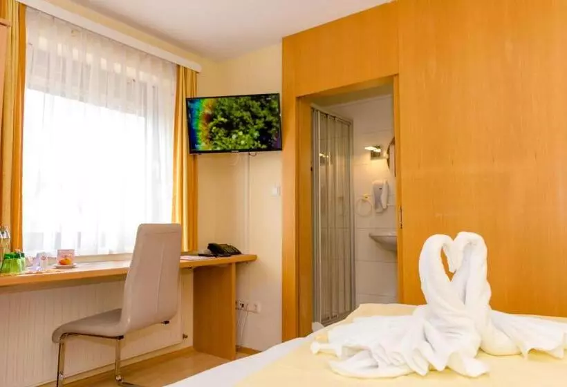 بنسيون 1a Hotel Steiner