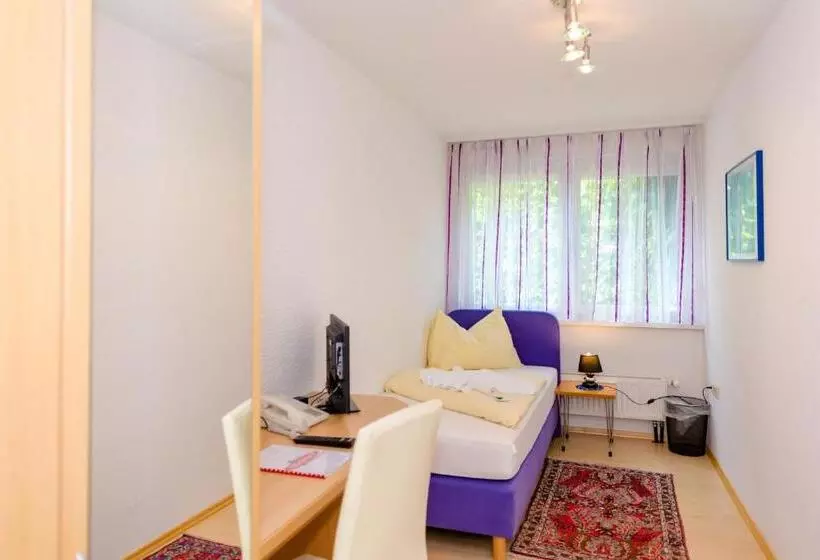 بنسيون 1a Hotel Steiner