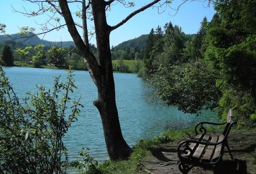 Пансион Gasthof Botenwirt