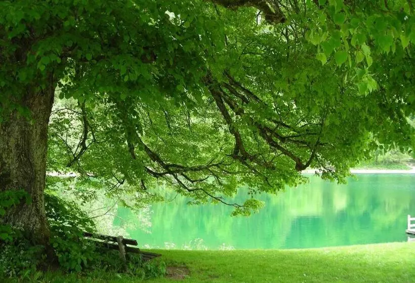 Пансион Gasthof Botenwirt