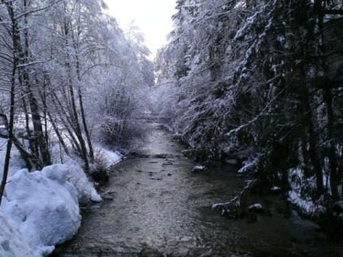 膳宿费 Gasthof Weiherbad