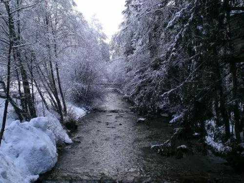 ペンション Gasthof Weiherbad