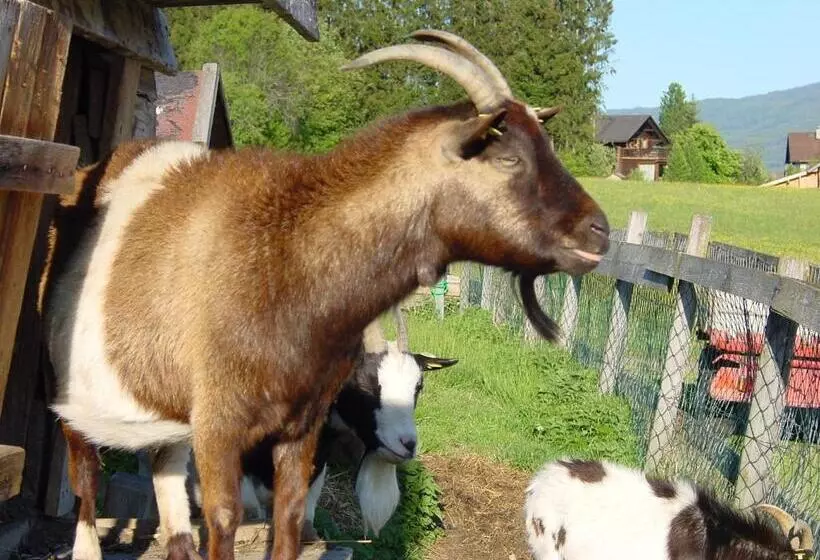 örglwirt Ferienwelt Hotel Post örglwirt