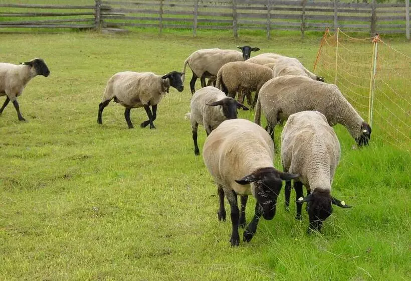 örglwirt Ferienwelt Hotel Post örglwirt