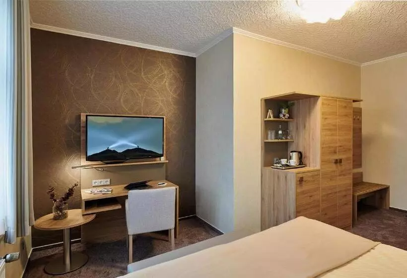 Ambient Hotel Zum Schwan