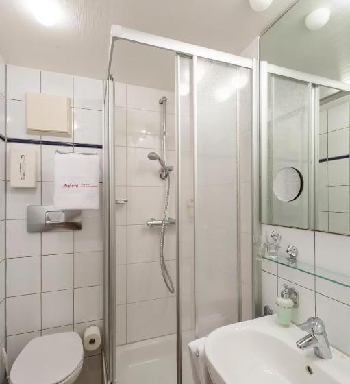 Ambient Hotel Zum Schwan