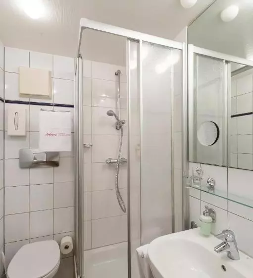 Ambient Hotel Zum Schwan