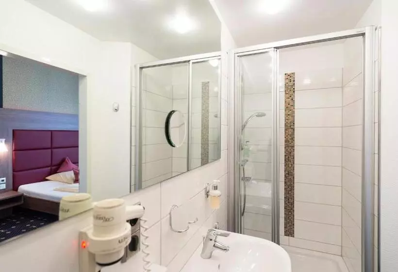 Ambient Hotel Zum Schwan