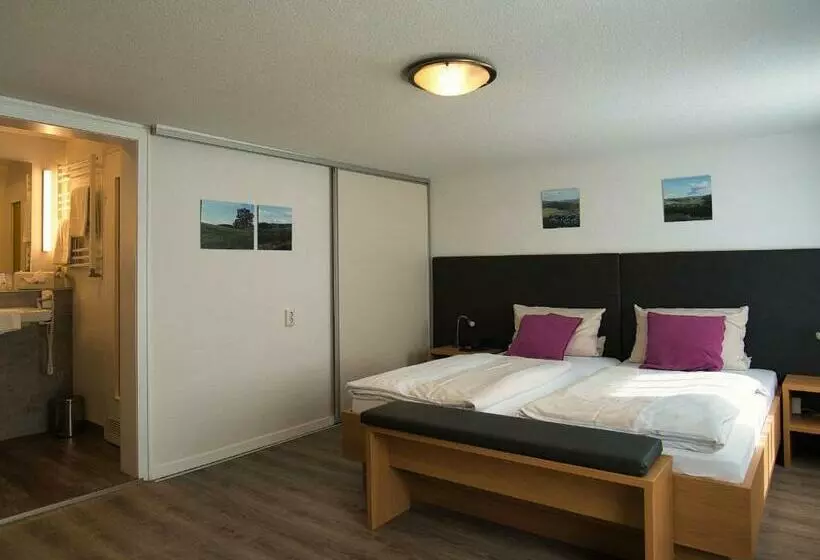 酒店 Holländer Hof