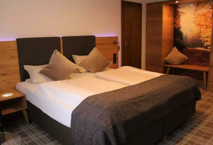 酒店 Holländer Hof