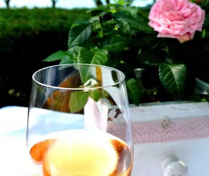 فندق Iris Am See Garni