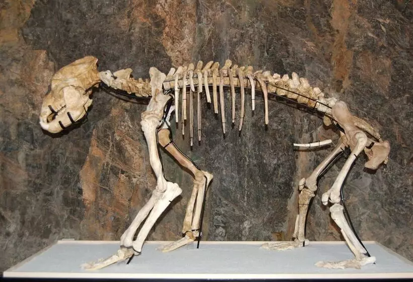 酒店 Residence Oleandro