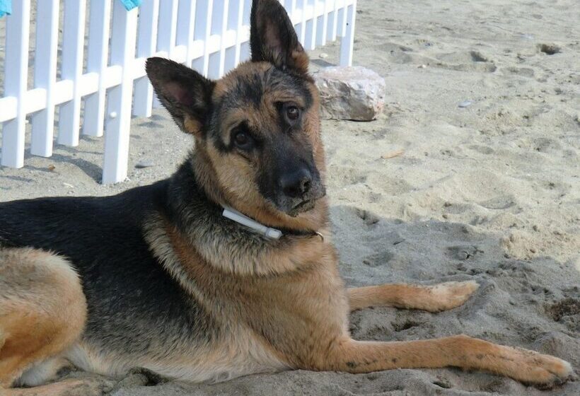 ホテル Residence Oleandro