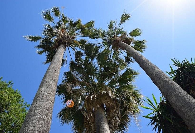 ホテル Residence Oleandro