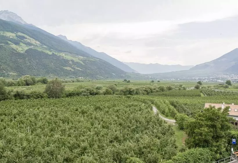 Отель Vinschgerhof