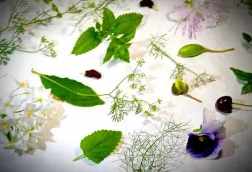 استراحتگاه Monastero Le Grazie