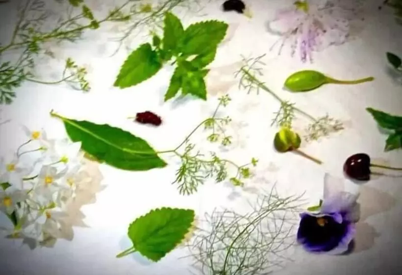 渡假胜地 Monastero Le Grazie