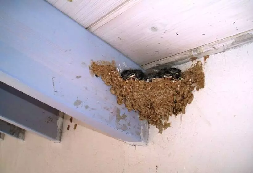 Scorpios Hotel & Suites