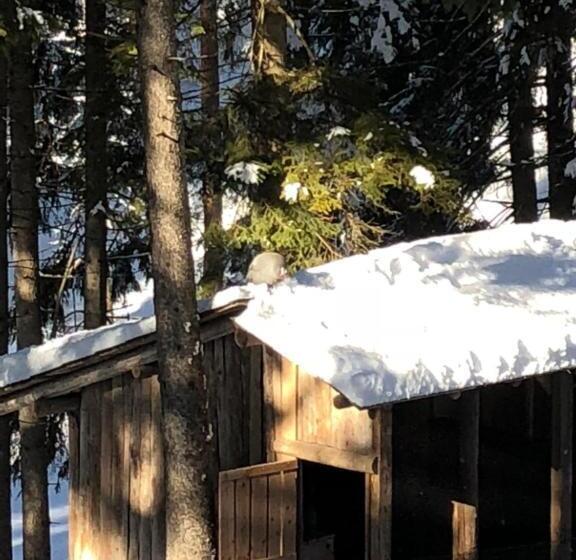 Th Borca Di Cadore Park Hotel Des Dolomites