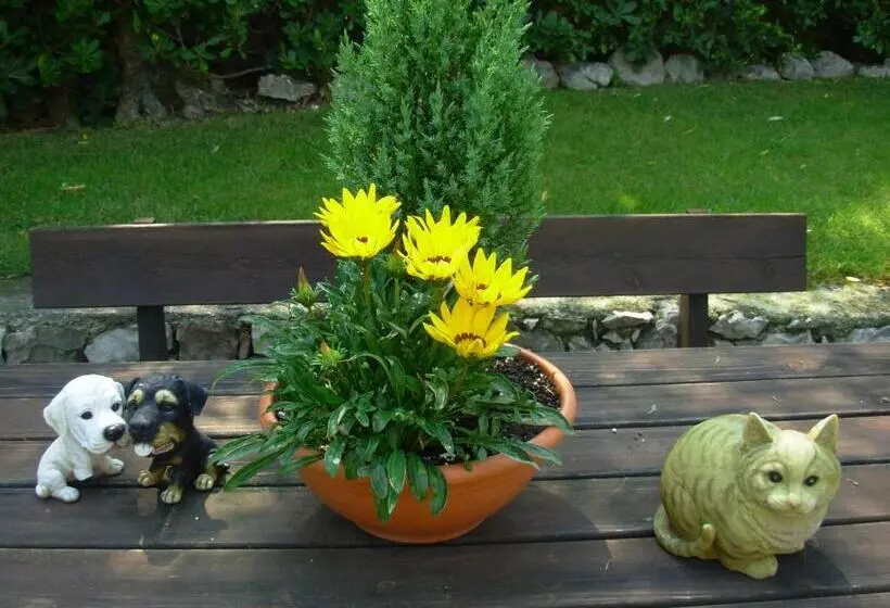 Villa Due Leoni   Residence