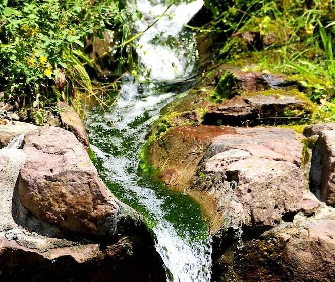 Achat Hotel Franziskushöhe Lohr