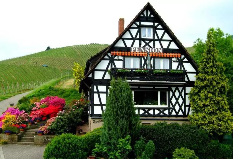 민박 Pension Am Weinberg