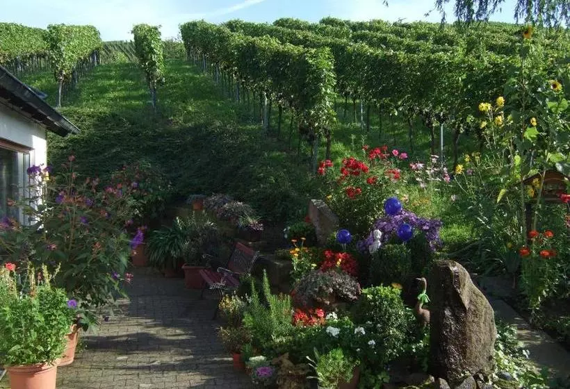 민박 Pension Am Weinberg