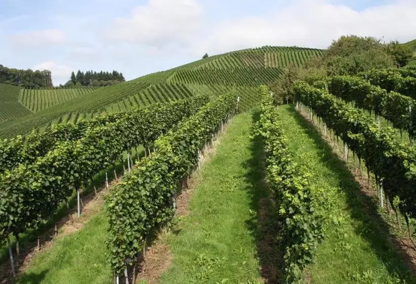 민박 Pension Am Weinberg