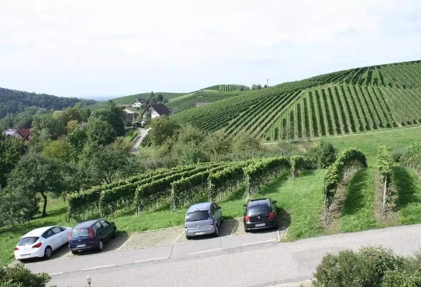 민박 Pension Am Weinberg