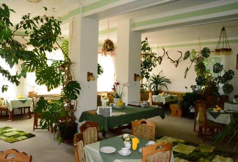 مبيت وإفطار Pension Schmidt