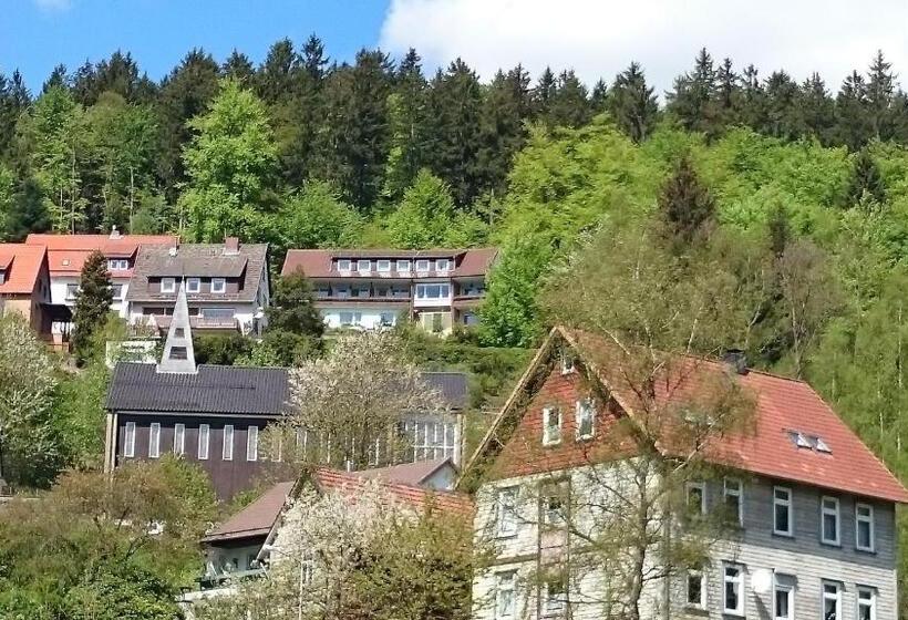 ベッドアンドブレックファースト Pension Talblick Bad Grund