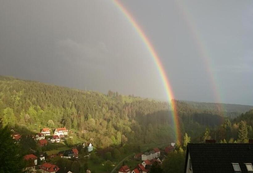 ベッドアンドブレックファースト Pension Talblick Bad Grund