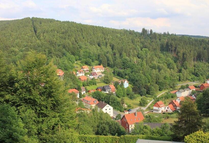 ベッドアンドブレックファースト Pension Talblick Bad Grund