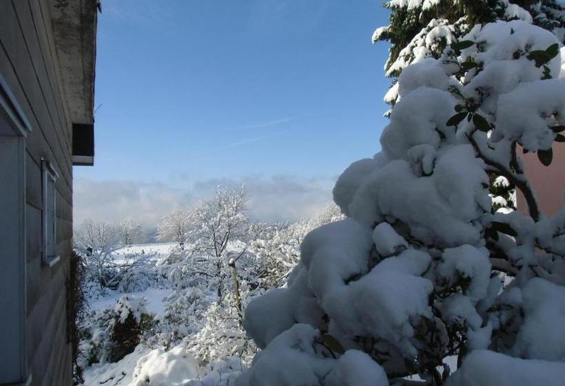 تختخواب و صبحانه Tangopension