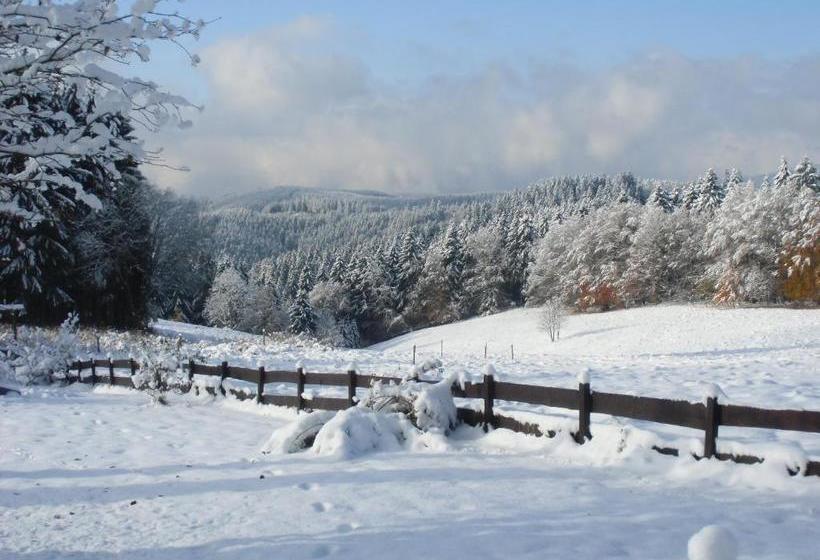 تختخواب و صبحانه Tangopension