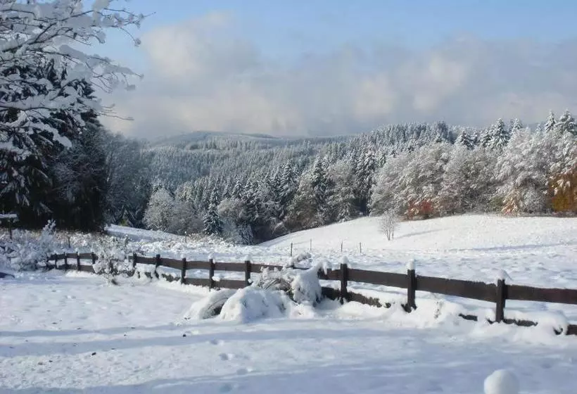 ベッドアンドブレックファースト Tangopension