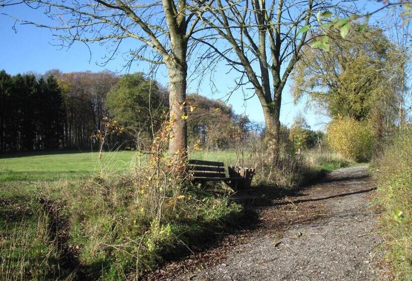 Отель Café Schauinsland