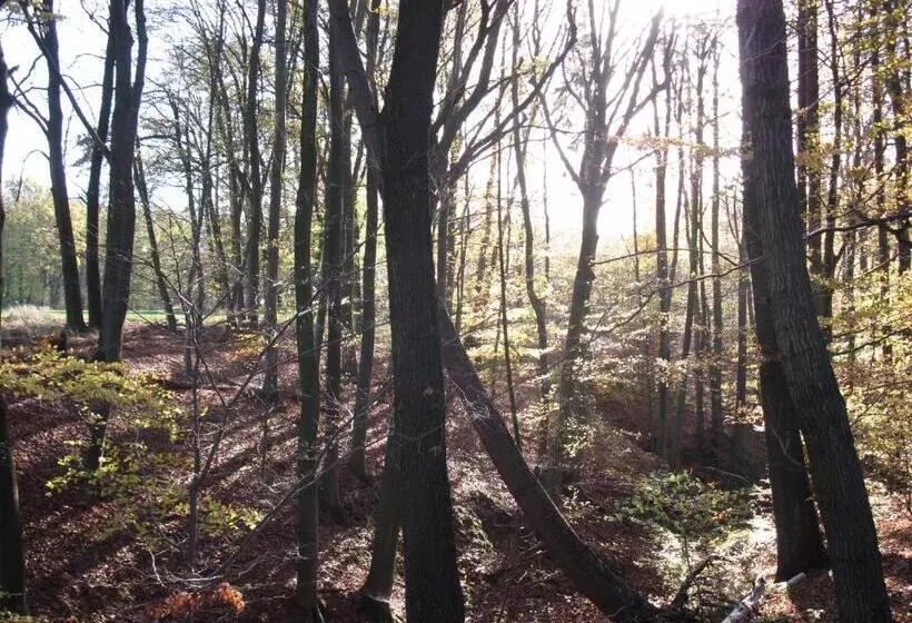 בית מלון כפרי Café Schauinsland