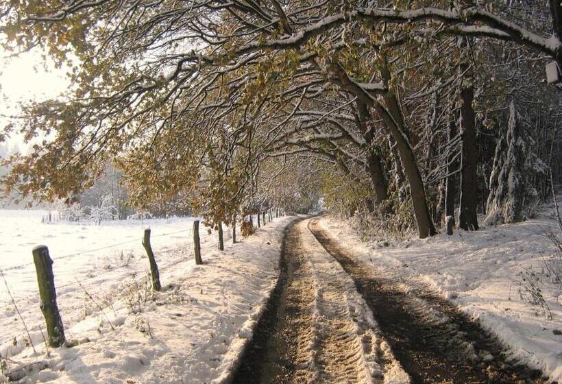 Отель Café Schauinsland