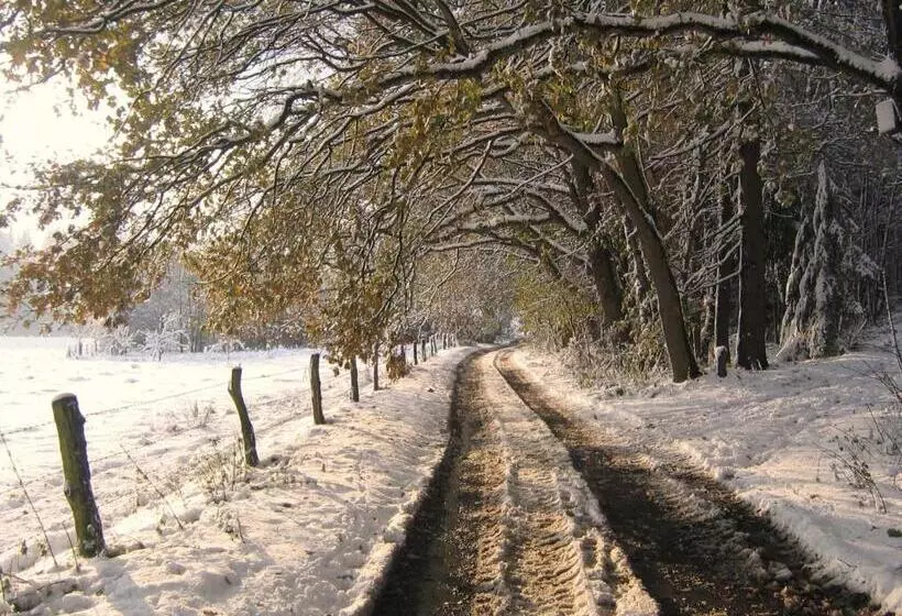 בית מלון כפרי Café Schauinsland