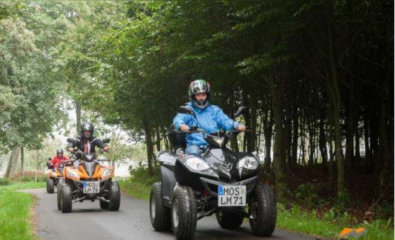 ホテル Goldener Hirsch Mosbach