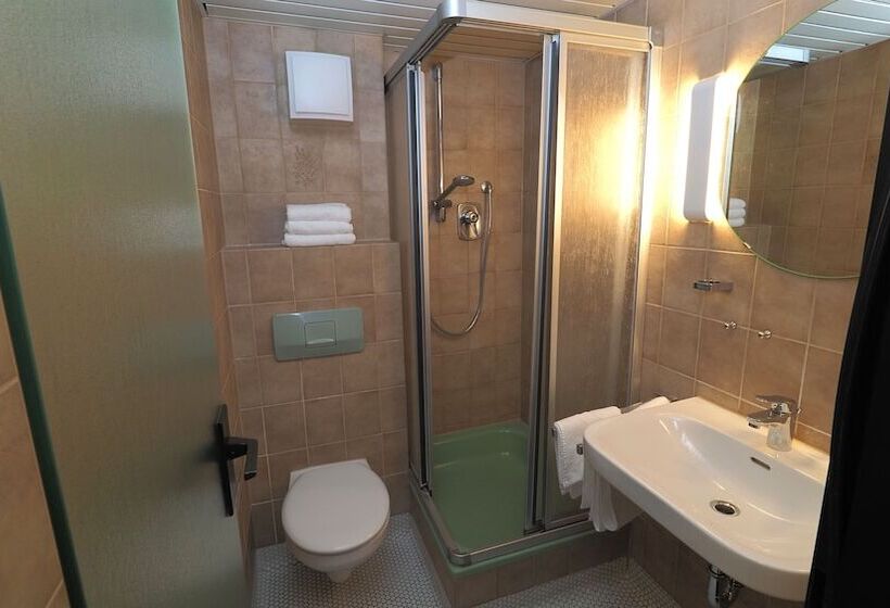 ホテル Goldener Hirsch Mosbach