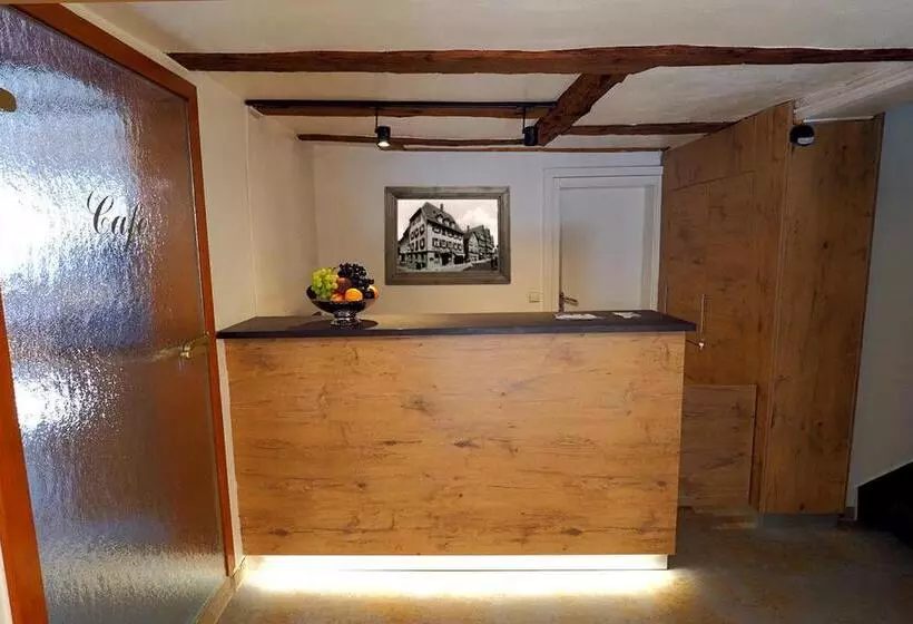 호텔 Goldener Hirsch Mosbach