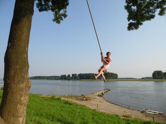 호텔 Haus Rheinblick