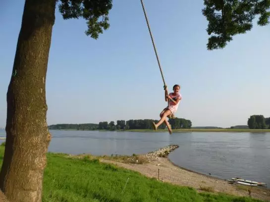 酒店 Haus Rheinblick