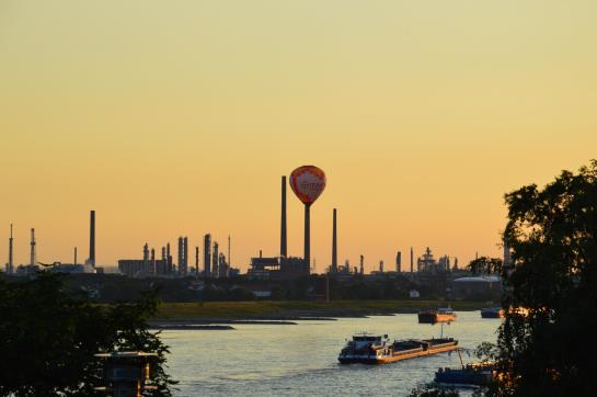 호텔 Haus Rheinblick