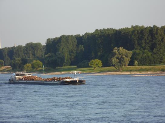 호텔 Haus Rheinblick