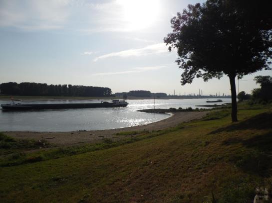 호텔 Haus Rheinblick