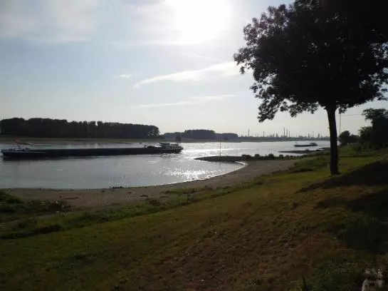 酒店 Haus Rheinblick