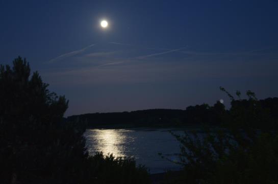 호텔 Haus Rheinblick